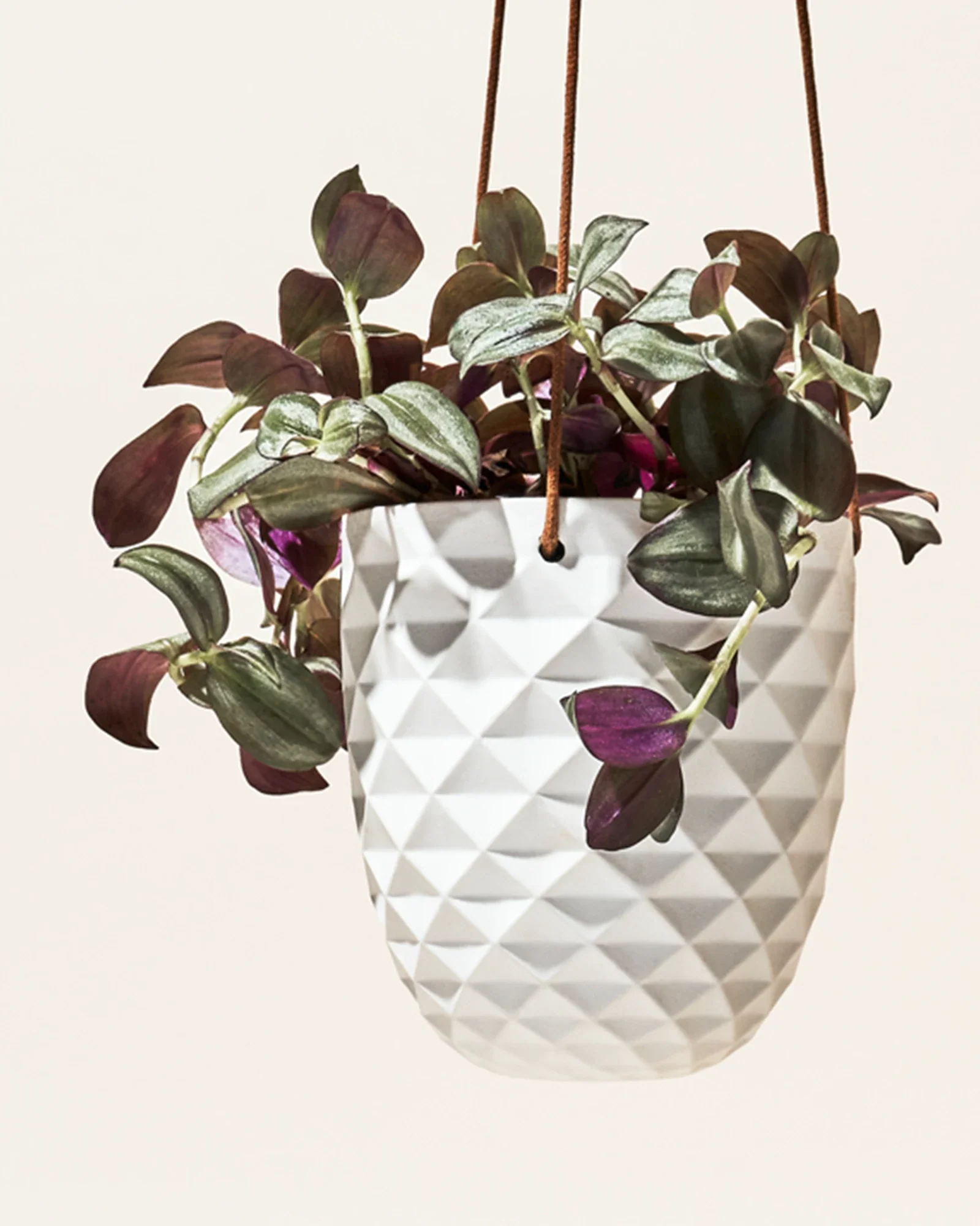 Thimble Porcelain Modern Hanging Planter - Image 21