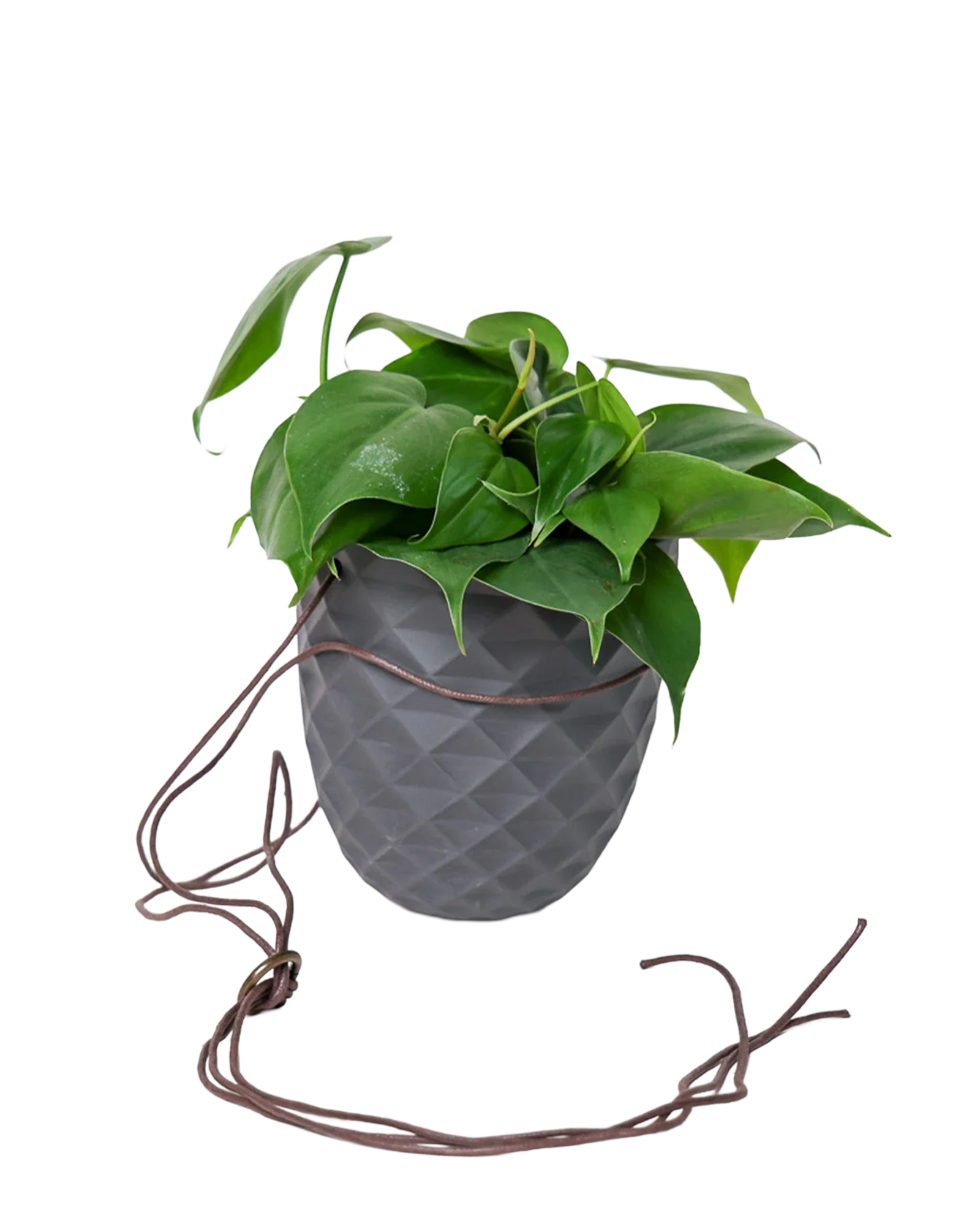 Thimble Porcelain Modern Hanging Planter - Image 9