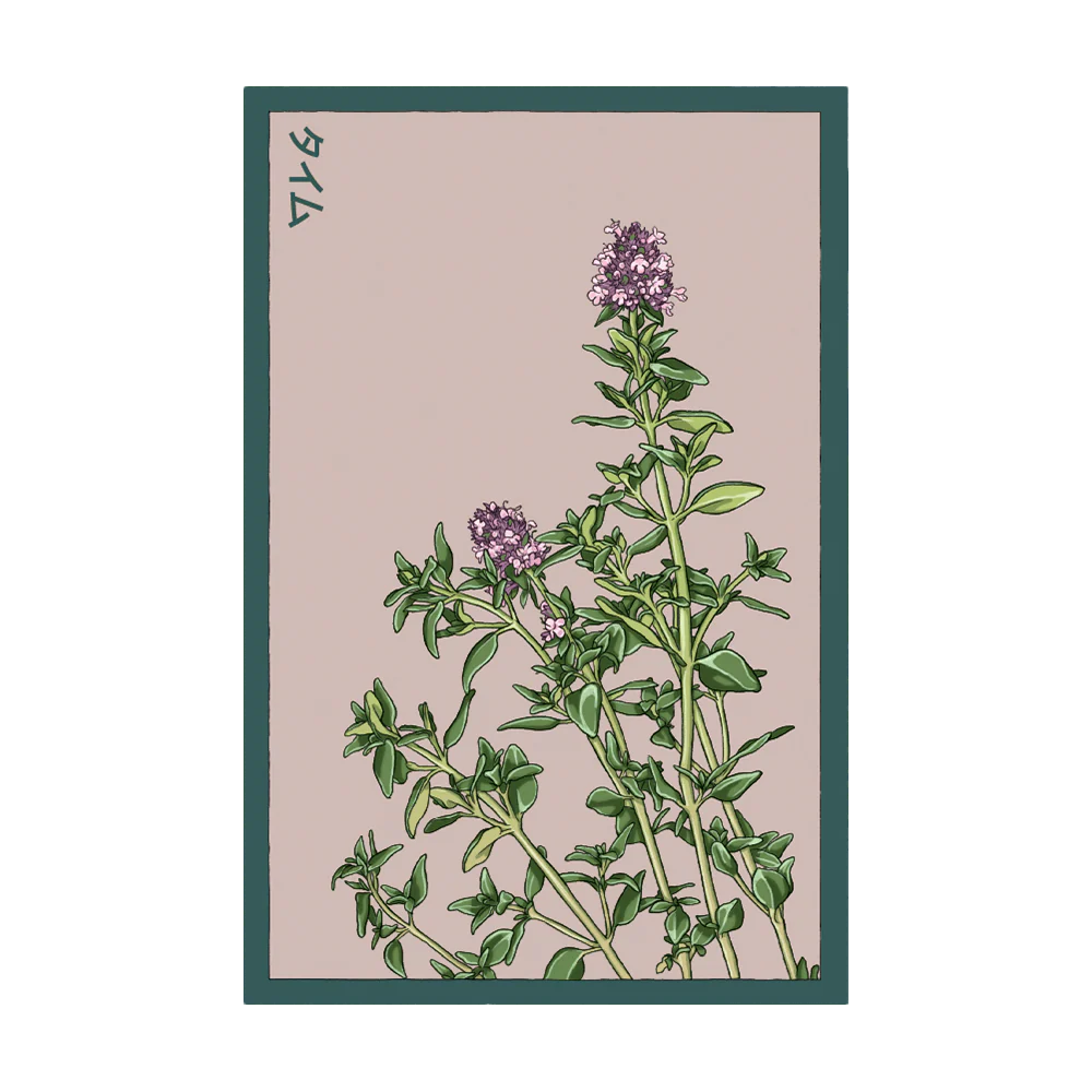 Thyme Herb Seeds Packet
