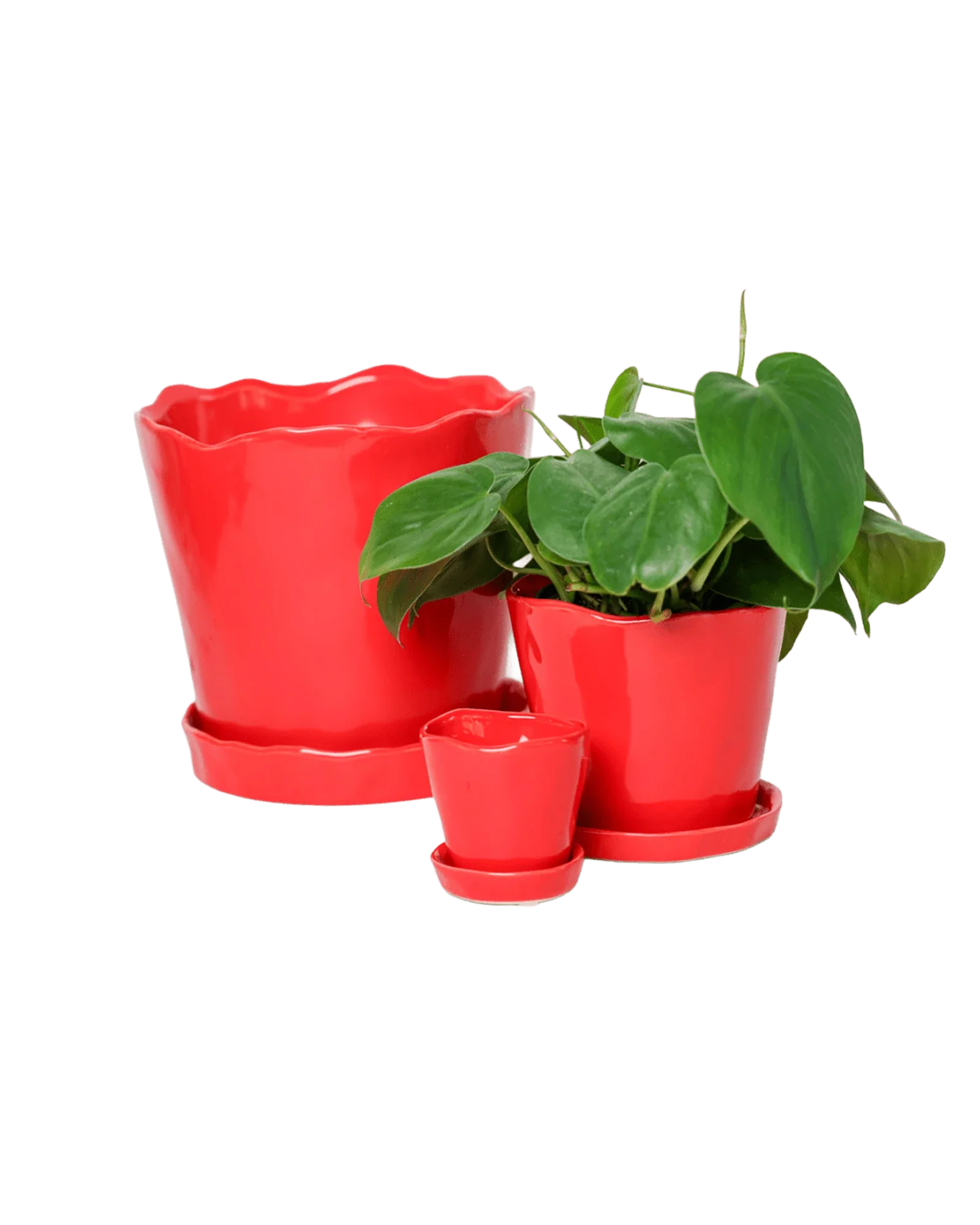 Tika Pot & Saucer | 3 inch - Image 20