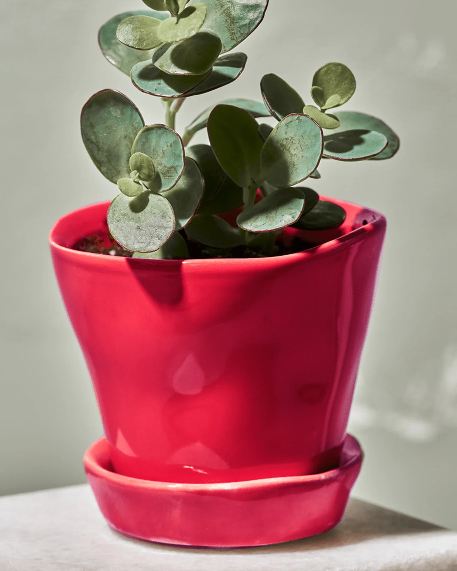 Tika Pot & Saucer | 3 inch - Image 21