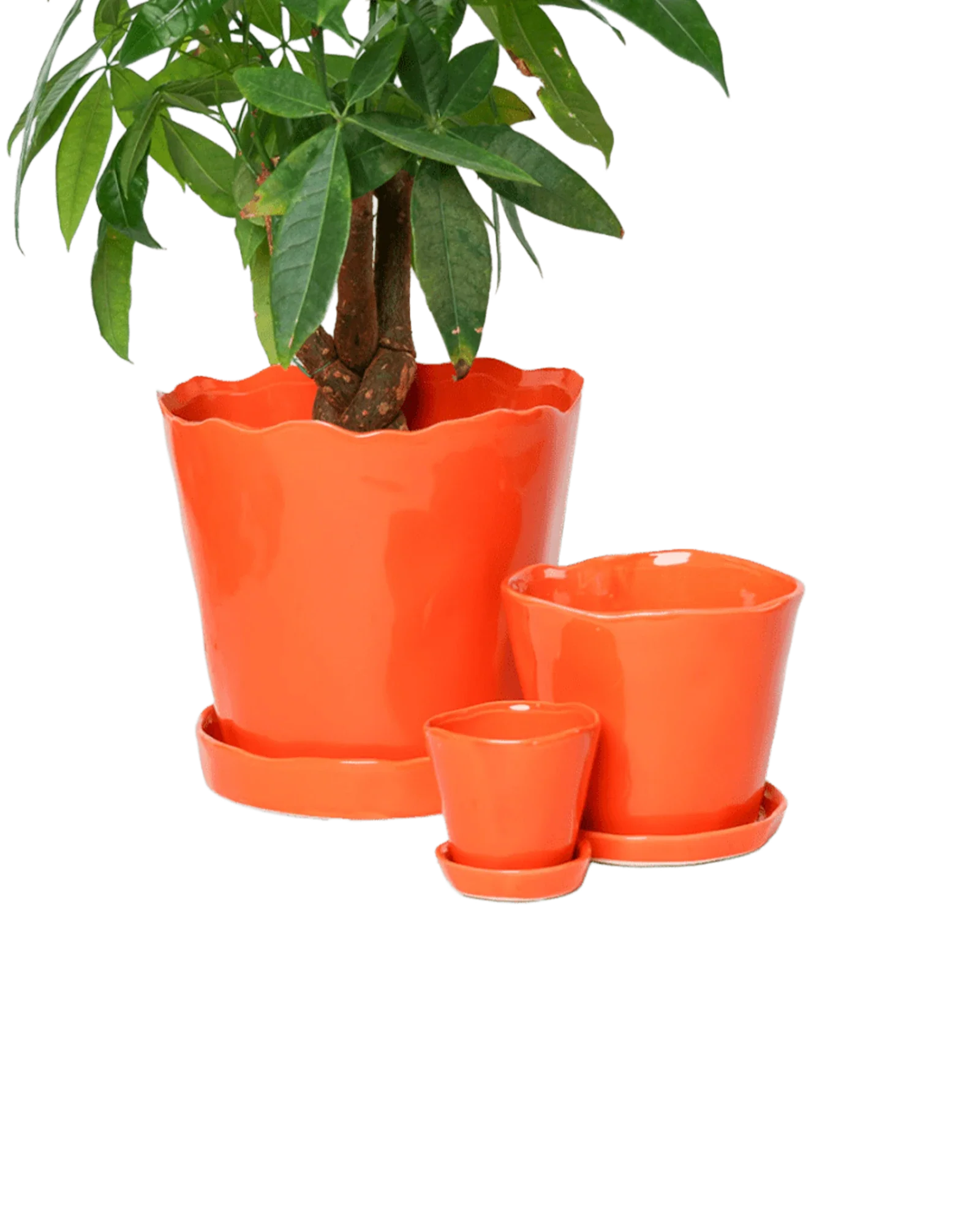 Tika Pot & Saucer | 3 inch - Image 25