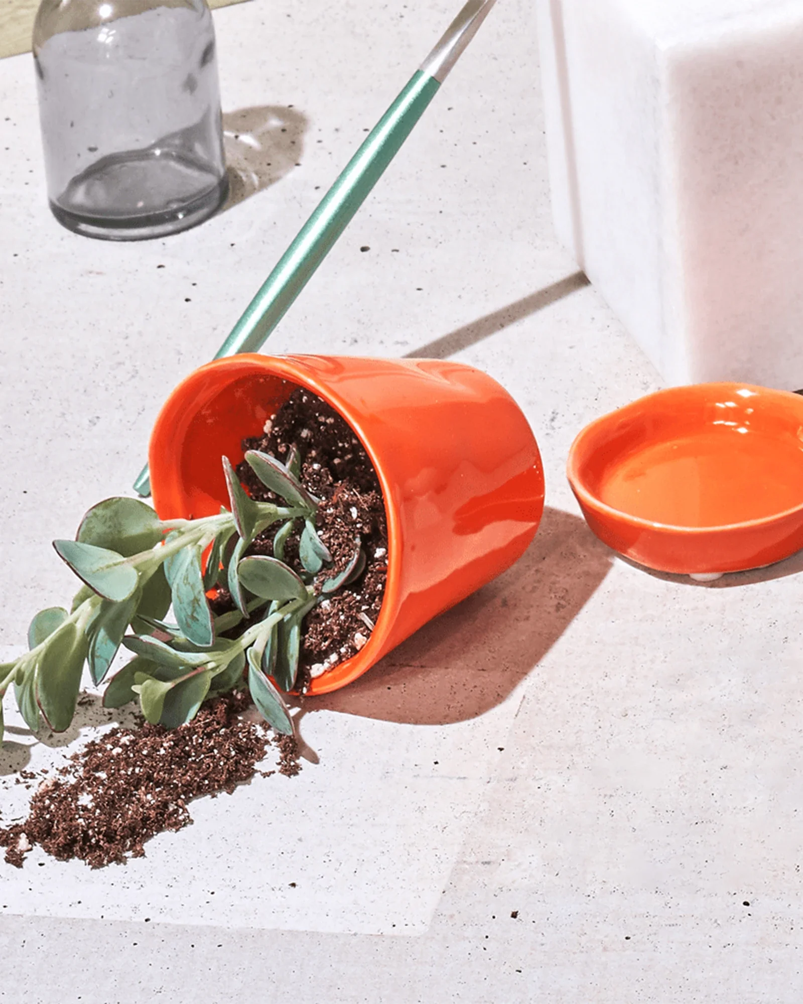 Tika Pot & Saucer | 3 inch - Image 26