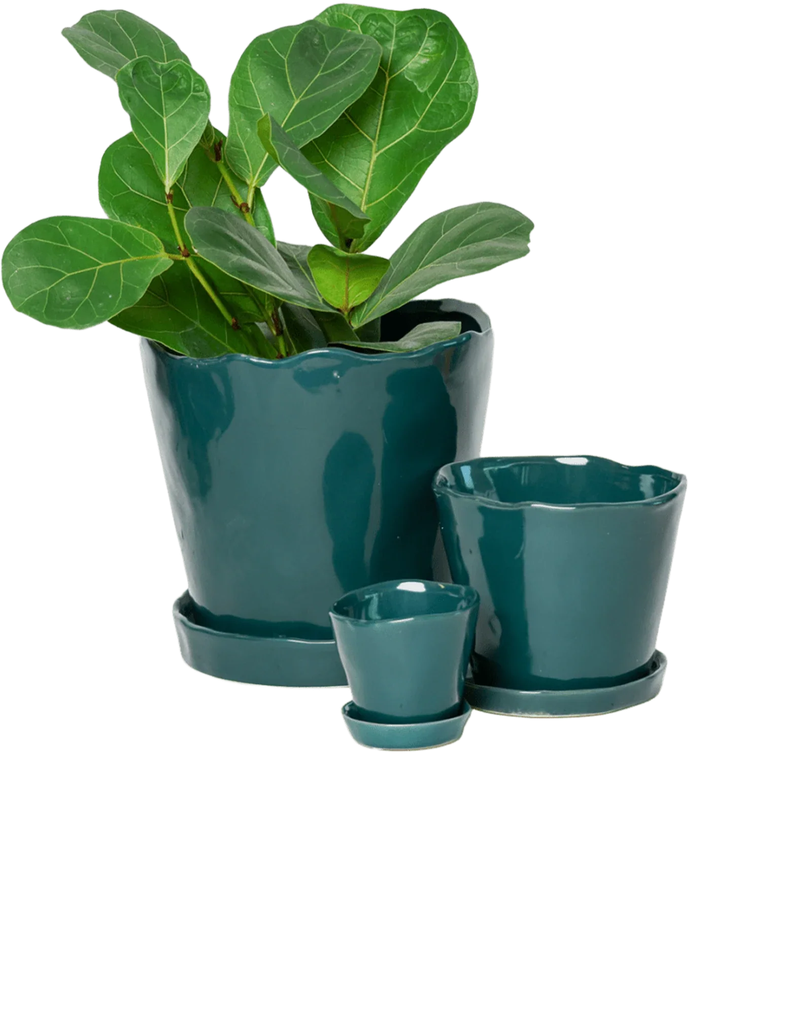 Tika Pot & Saucer | 3 inch - Image 34
