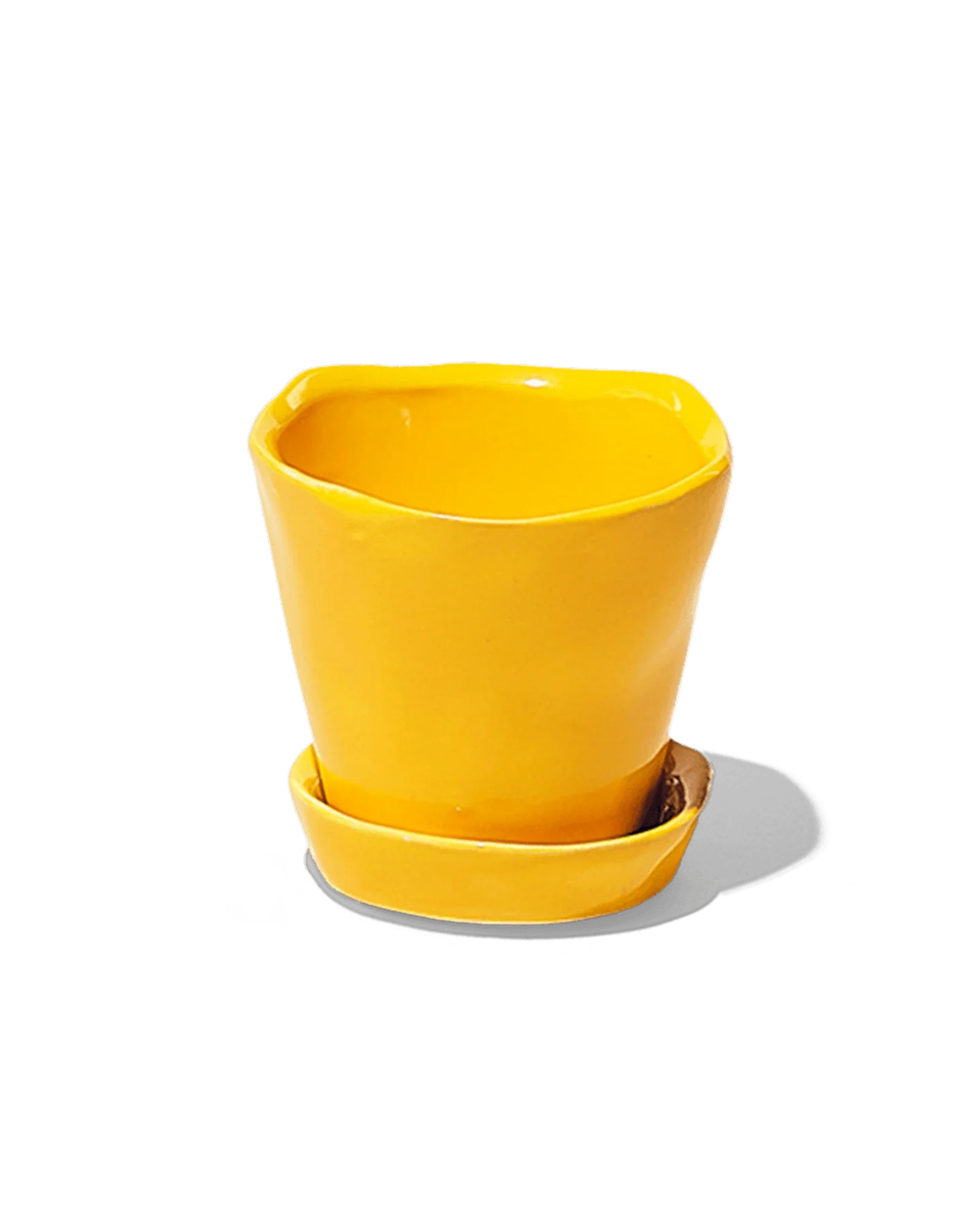 Tika Pot & Saucer | 3 inch - Image 4