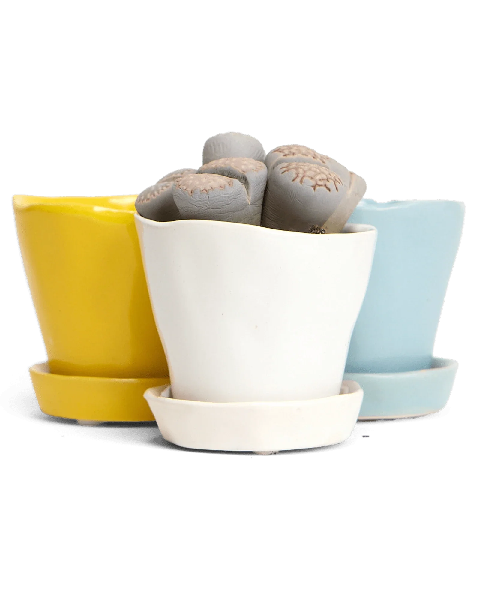 Tika Pot & Saucer | 3 inch - Image 42