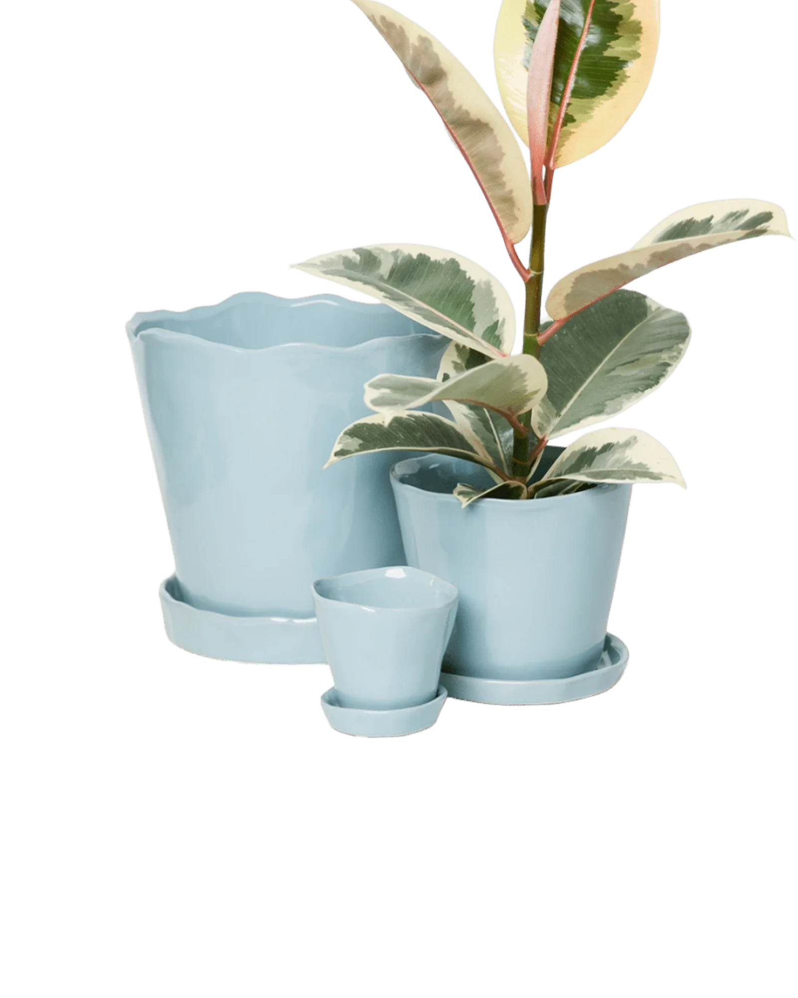 Tika Pot & Saucer | 3 inch - Image 50