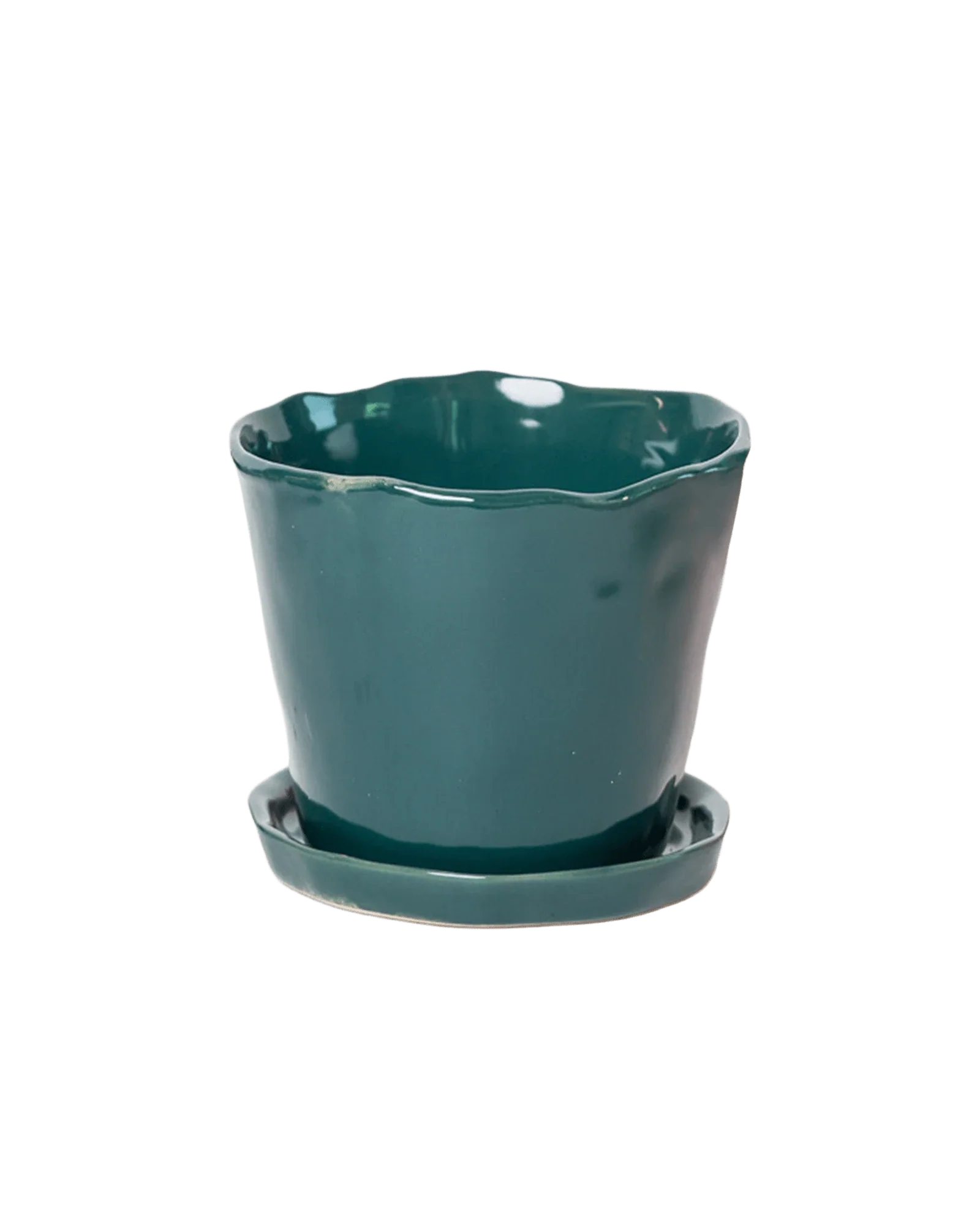 Tika Pot & Saucer | 5 inch - Image 19