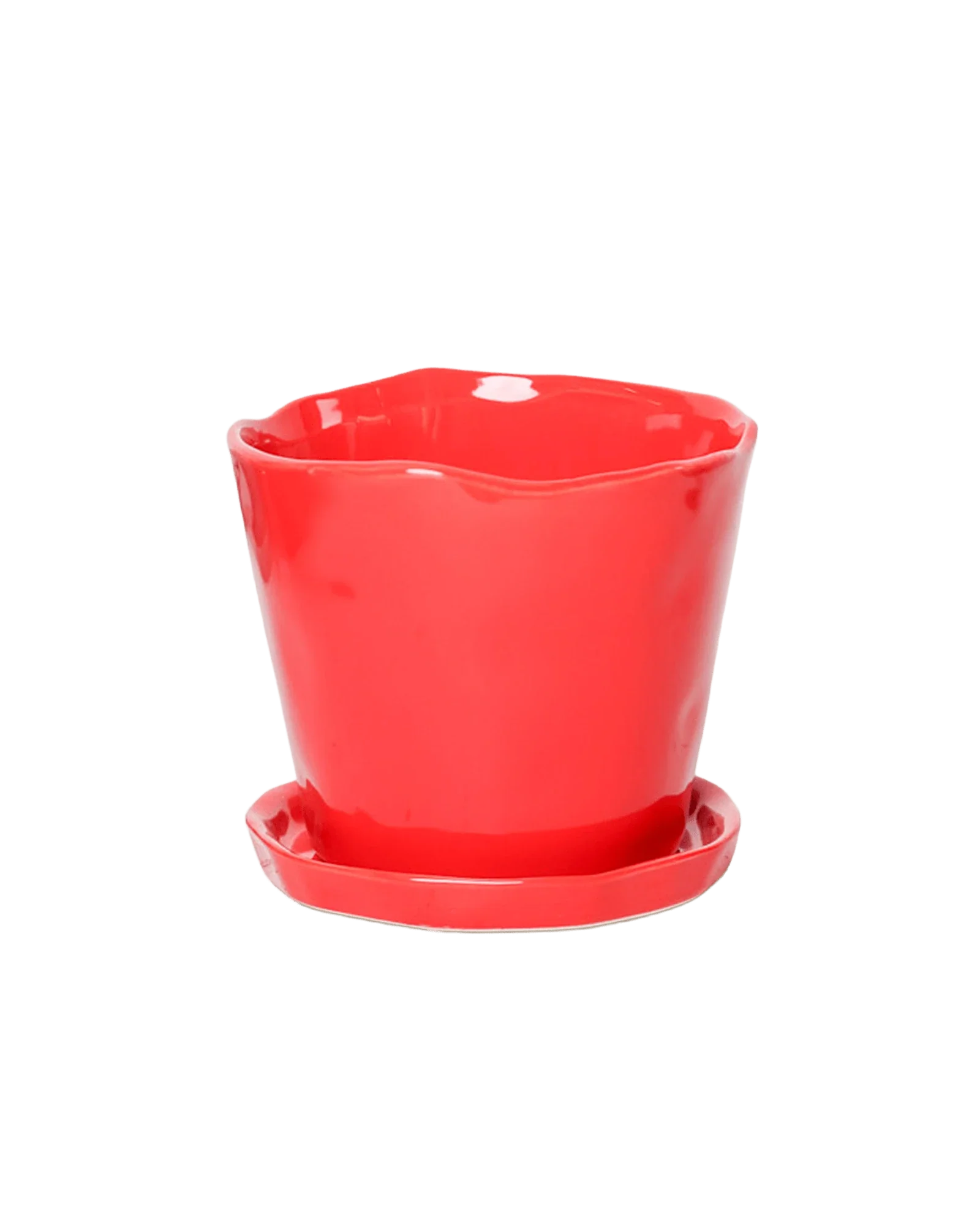 Tika Pot & Saucer | 5 inch - Image 28