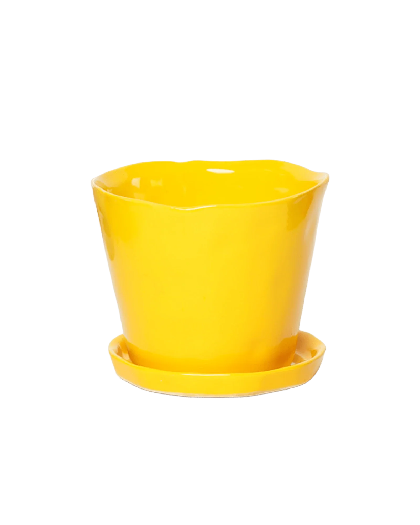 Tika Pot & Saucer | 5 inch - Image 7