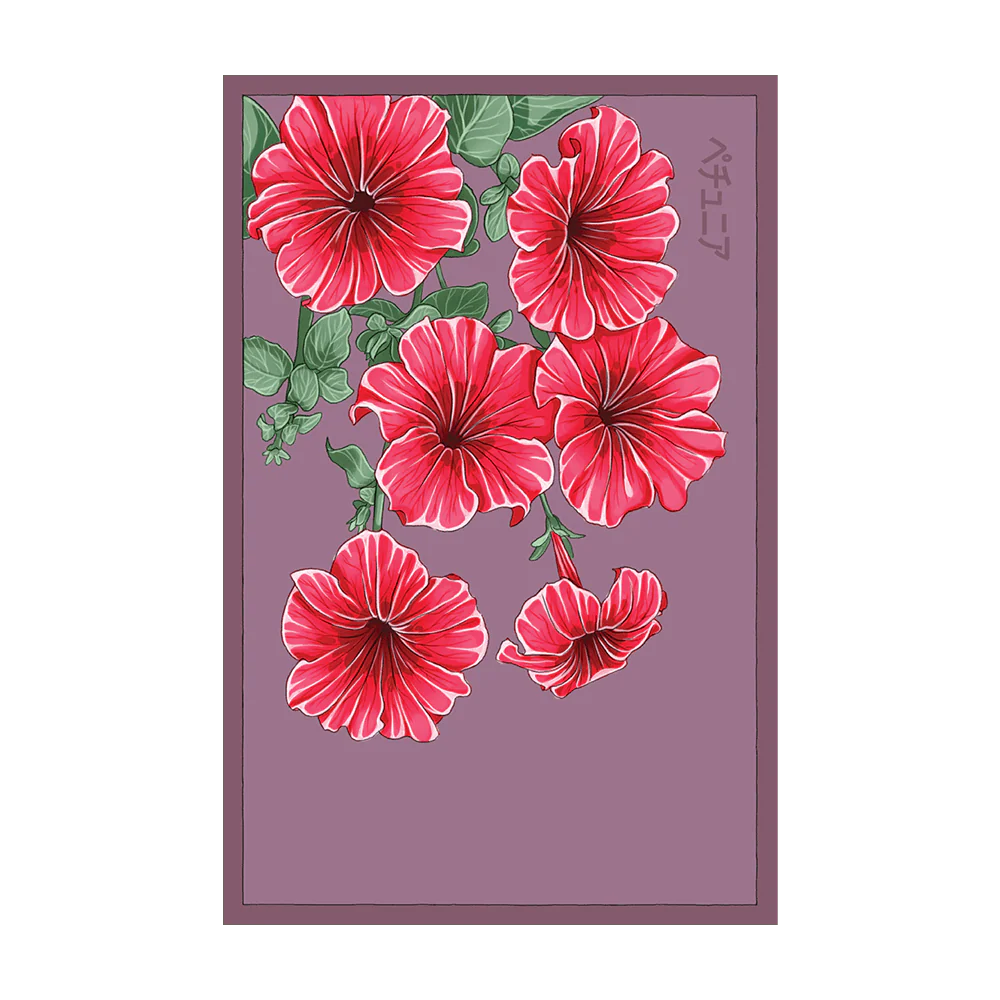 Trailing Petunia Flower Seeds Packet