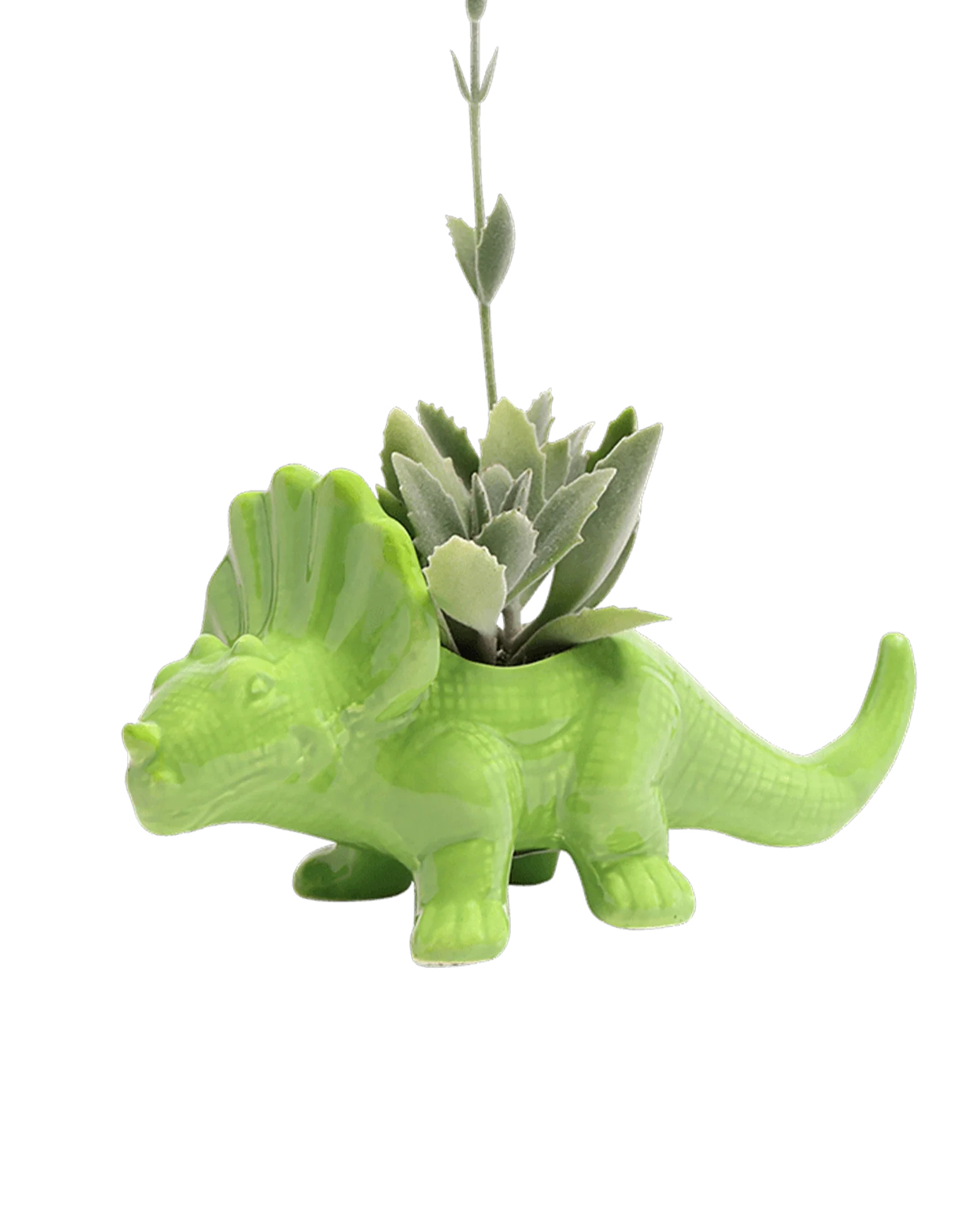 Triceratops Ceramic Indoor Plant Pot for Succulents - Image 10