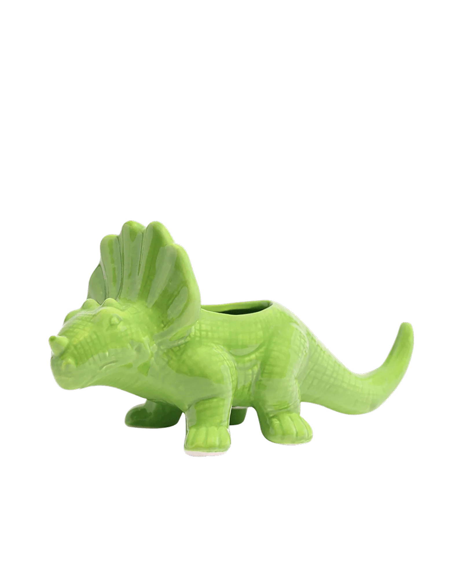 Triceratops Ceramic Indoor Plant Pot for Succulents - Image 11