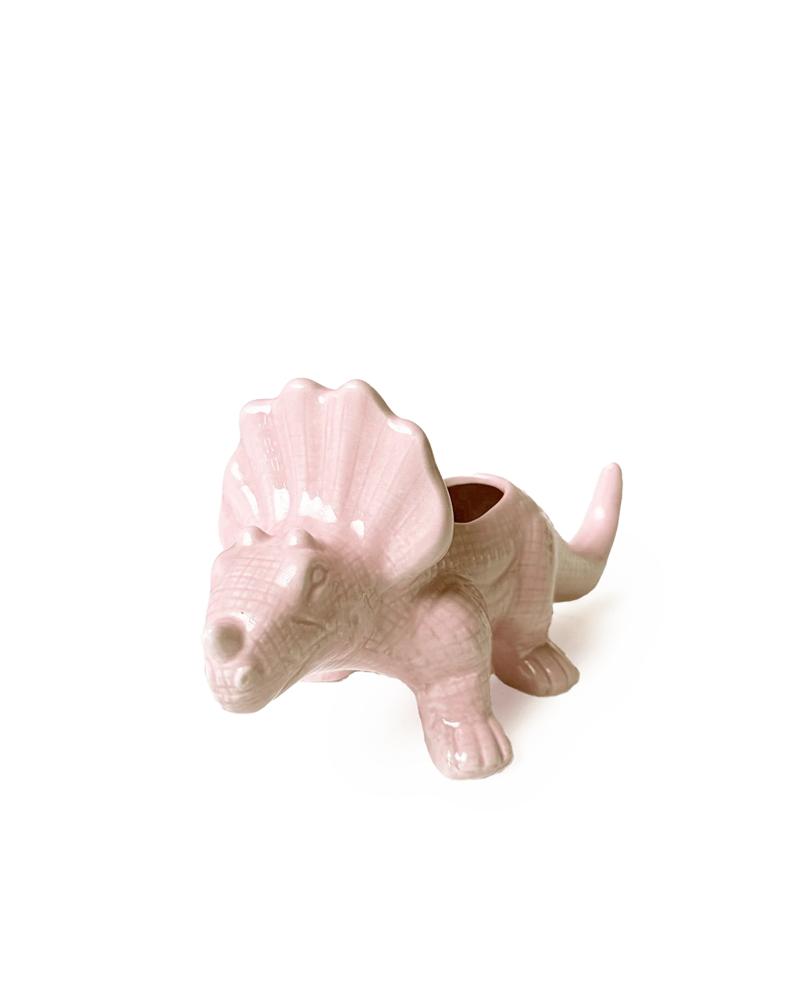 Triceratops Ceramic Indoor Plant Pot for Succulents - Image 14