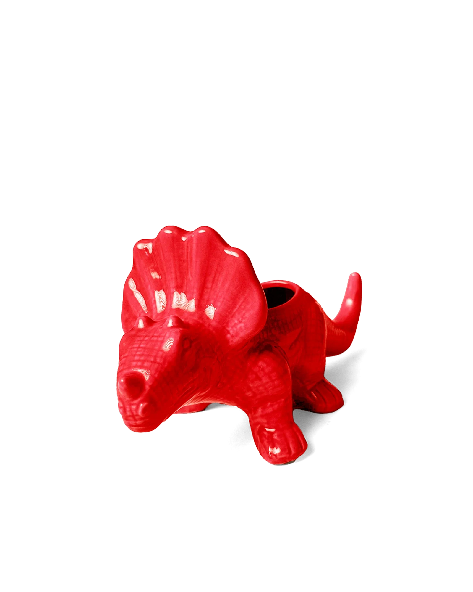 Triceratops Ceramic Indoor Plant Pot for Succulents - Image 18