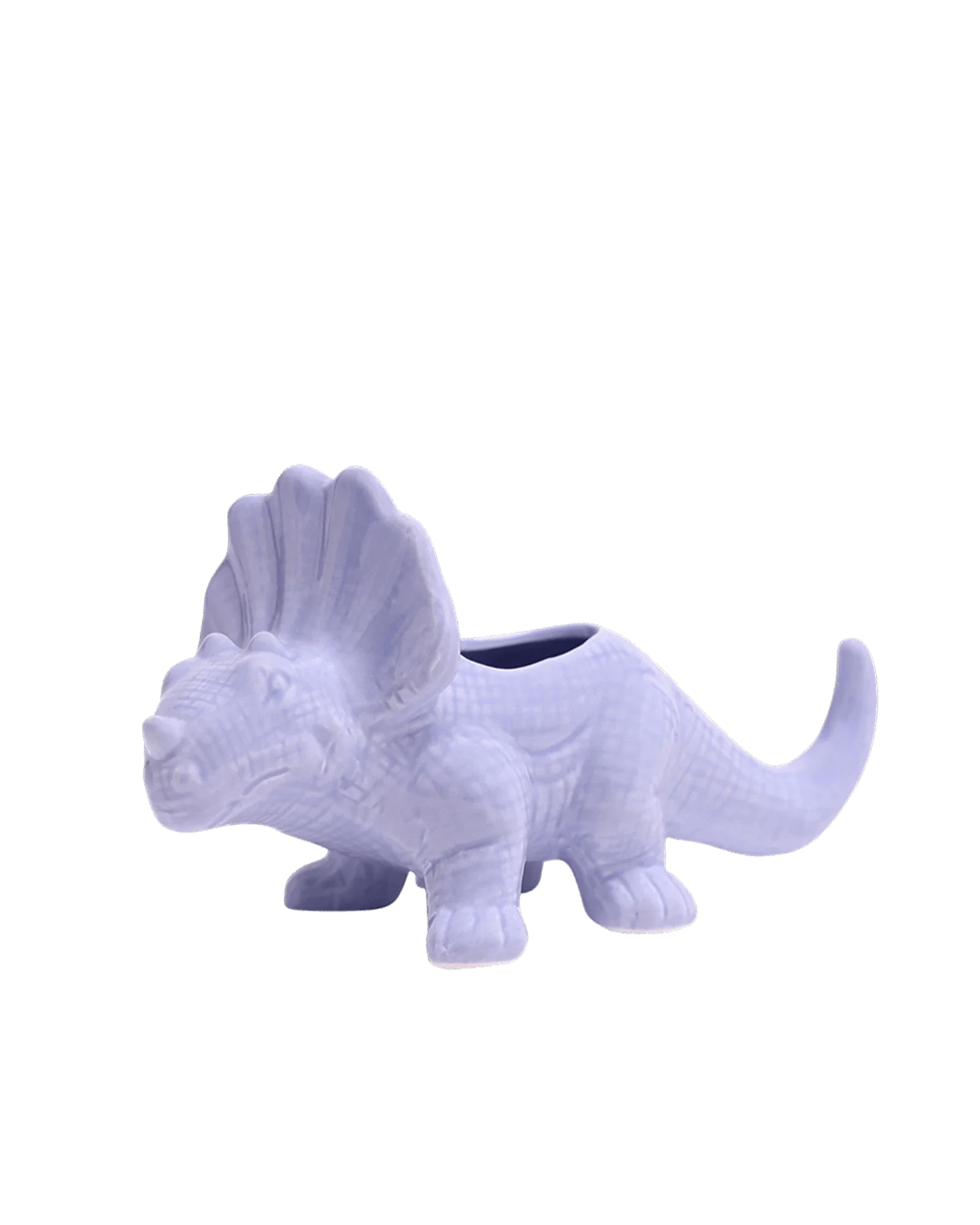 Triceratops Ceramic Indoor Plant Pot for Succulents - Image 20