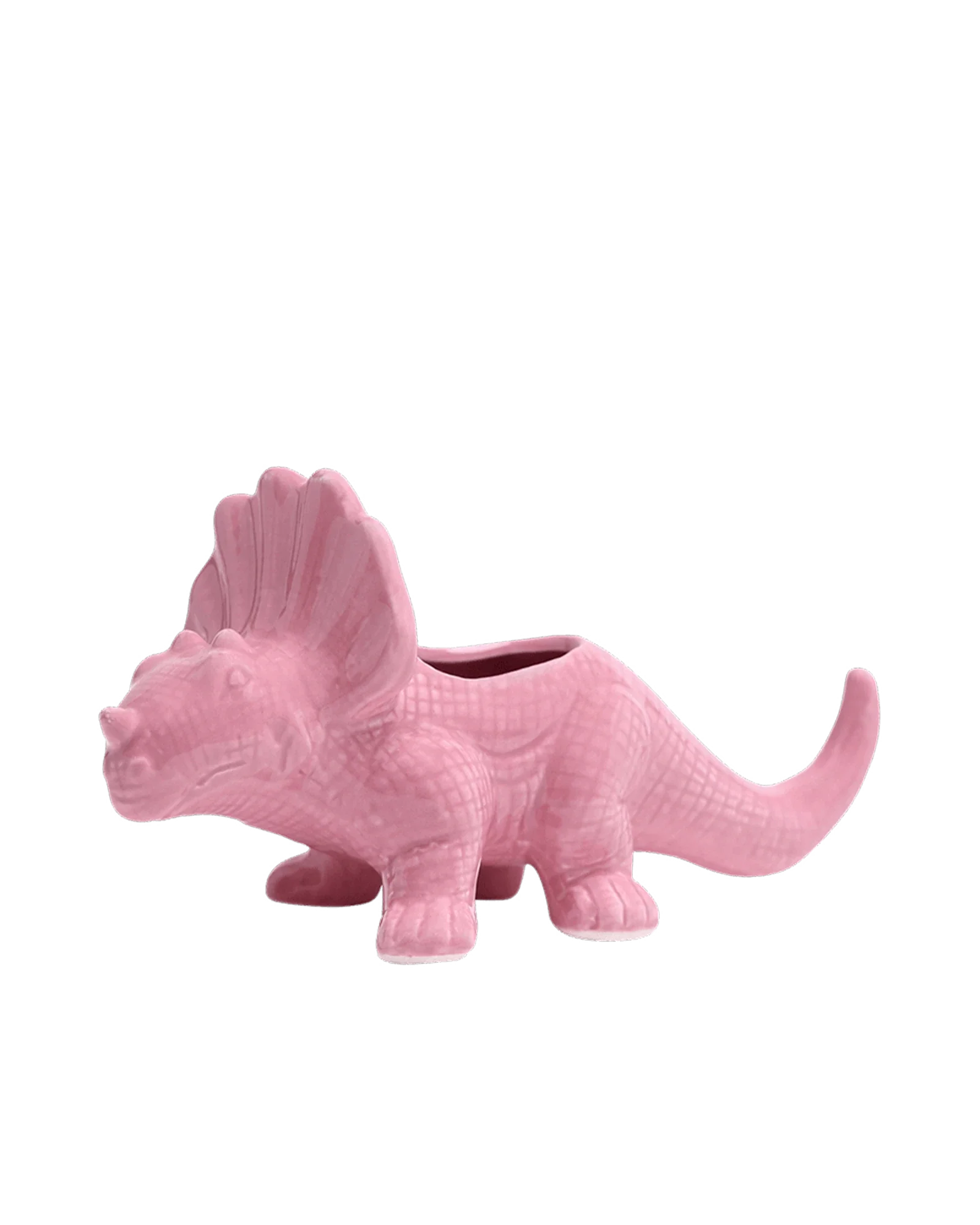 Triceratops Ceramic Indoor Plant Pot for Succulents - Image 25