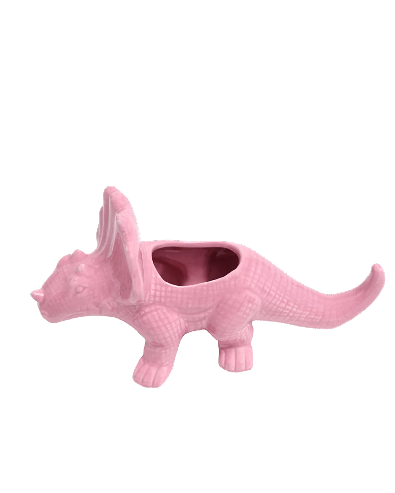 Triceratops Ceramic Indoor Plant Pot for Succulents - Image 27
