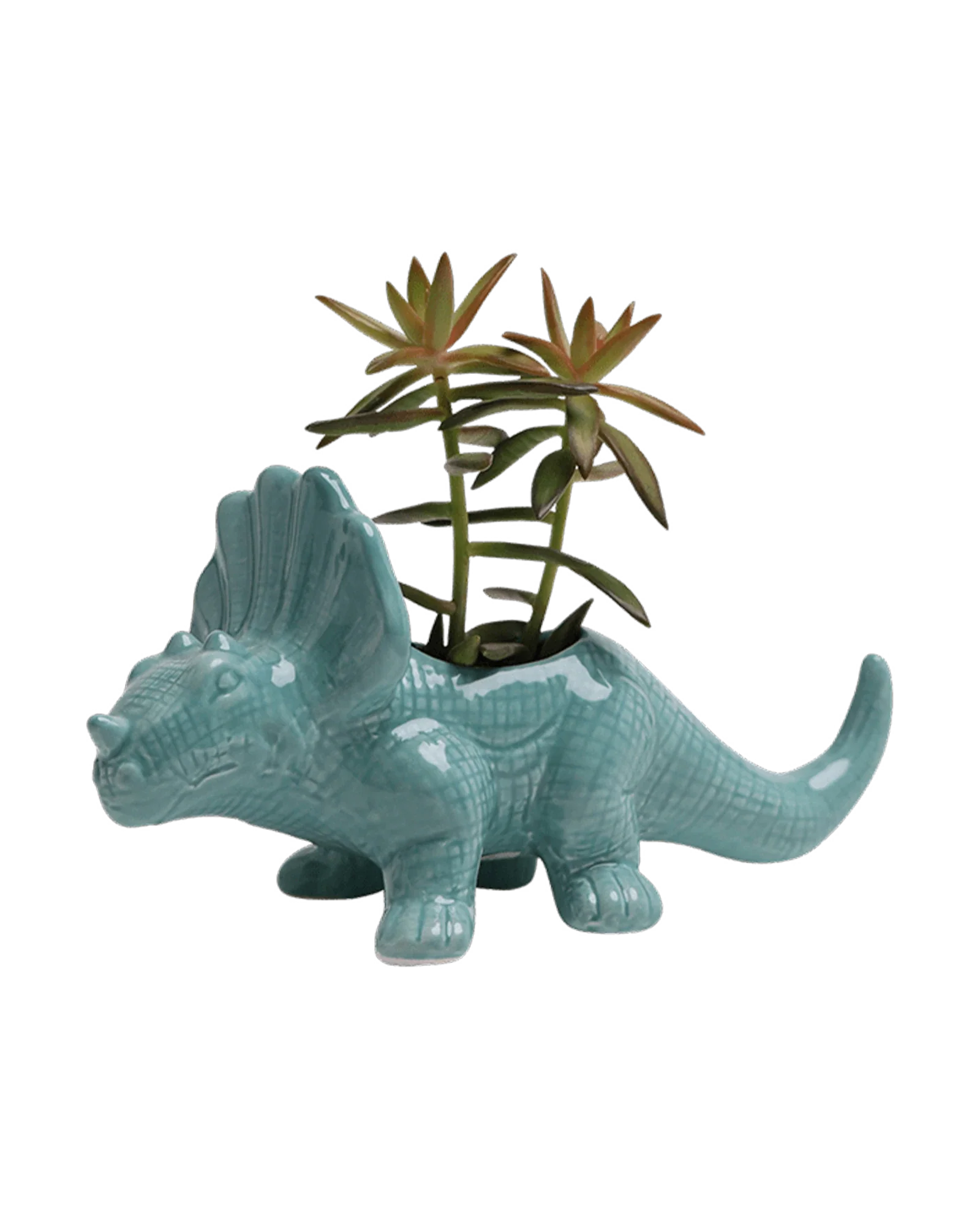 Triceratops Ceramic Indoor Plant Pot for Succulents - Image 28