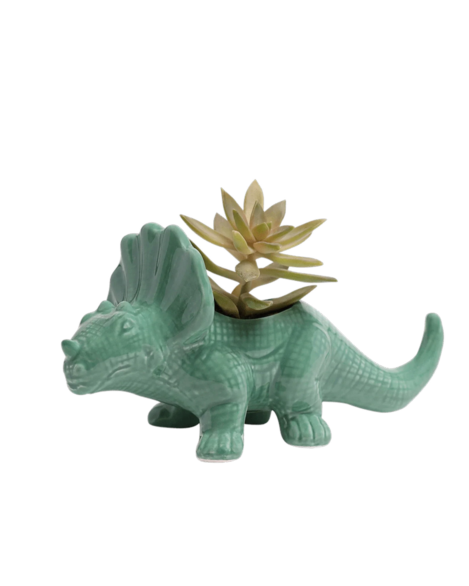 Triceratops Ceramic Indoor Plant Pot for Succulents - Image 31
