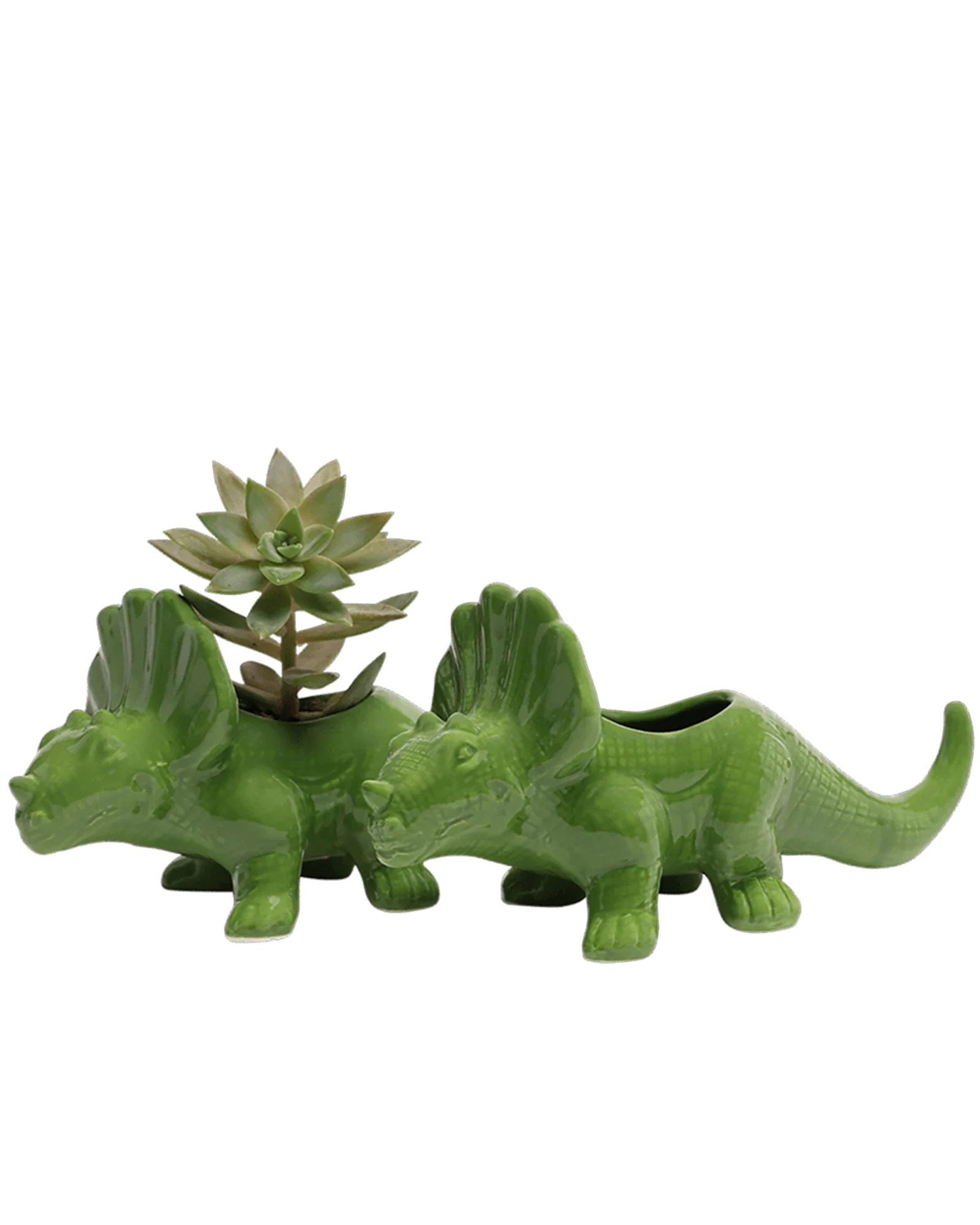 Triceratops Ceramic Indoor Plant Pot for Succulents - Image 4