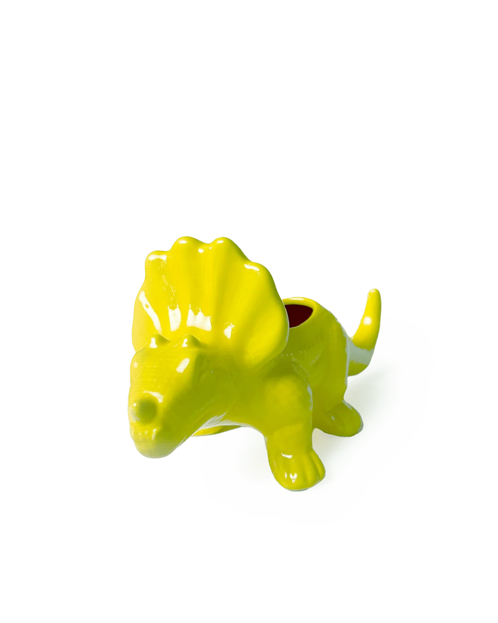 Triceratops Ceramic Indoor Plant Pot for Succulents - Image 6