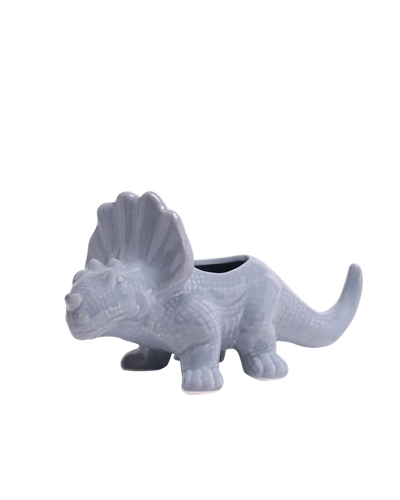 Triceratops Ceramic Indoor Plant Pot for Succulents - Image 7