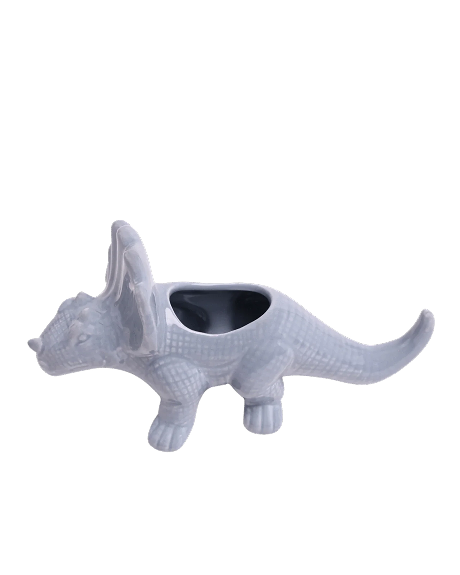 Triceratops Ceramic Indoor Plant Pot for Succulents - Image 9