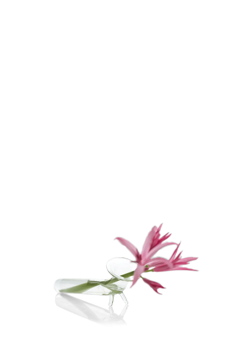 Test Tube Glass Bud Vases