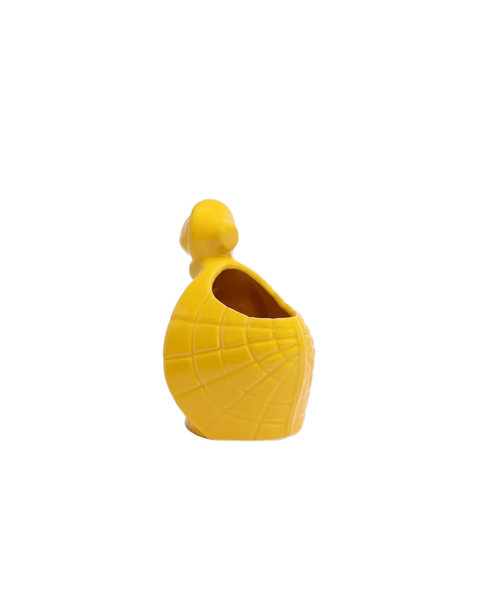 Turtle Ceramic Indoor Plant Pot For Succulents - Image 13