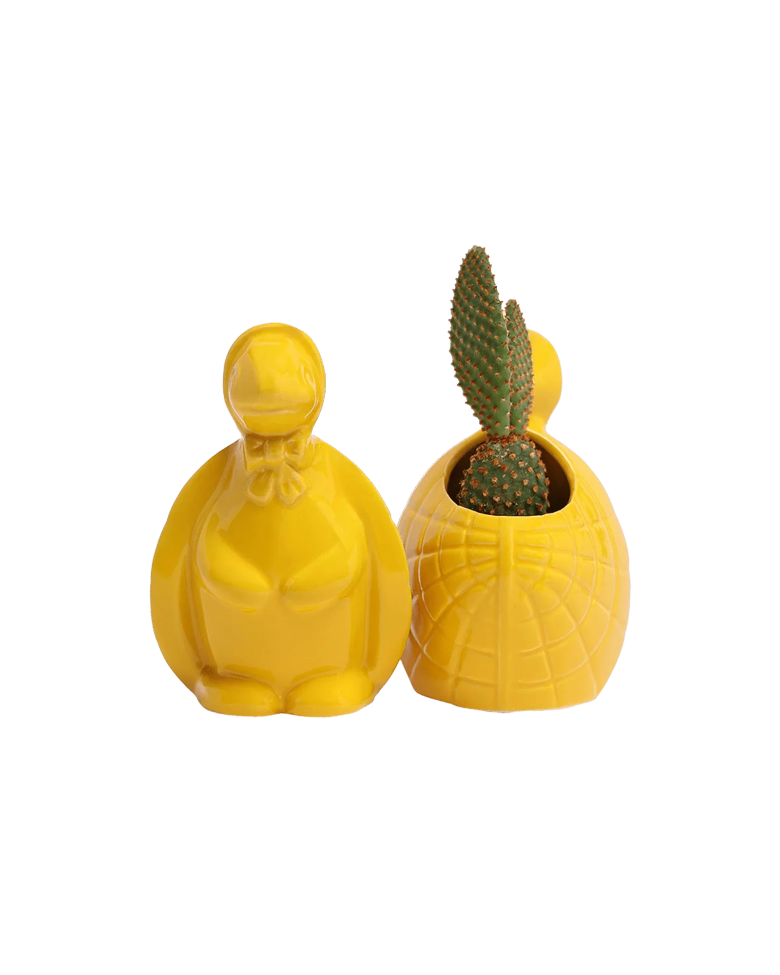 Turtle Ceramic Indoor Plant Pot For Succulents - Image 15