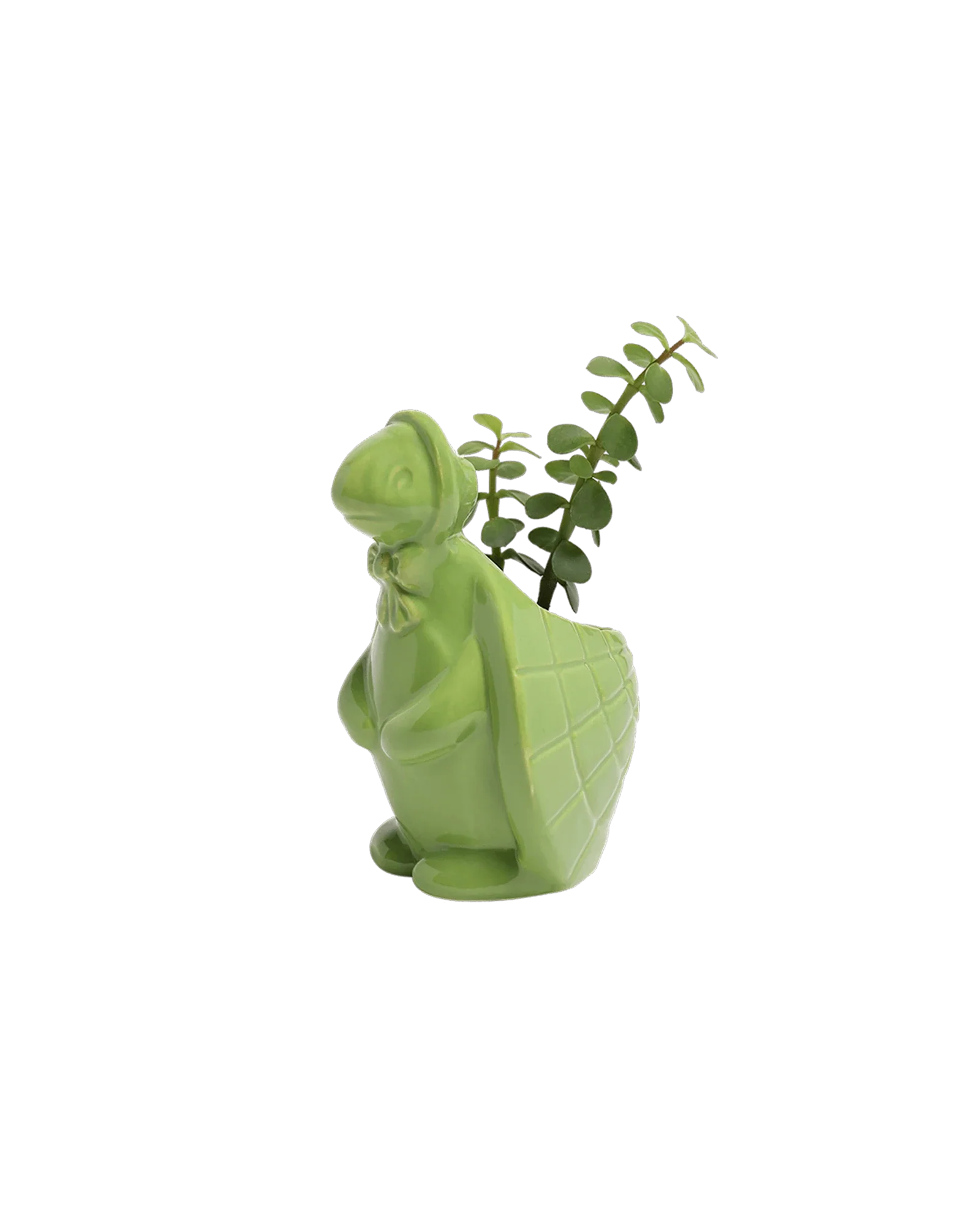 Turtle Ceramic Indoor Plant Pot For Succulents - Image 4