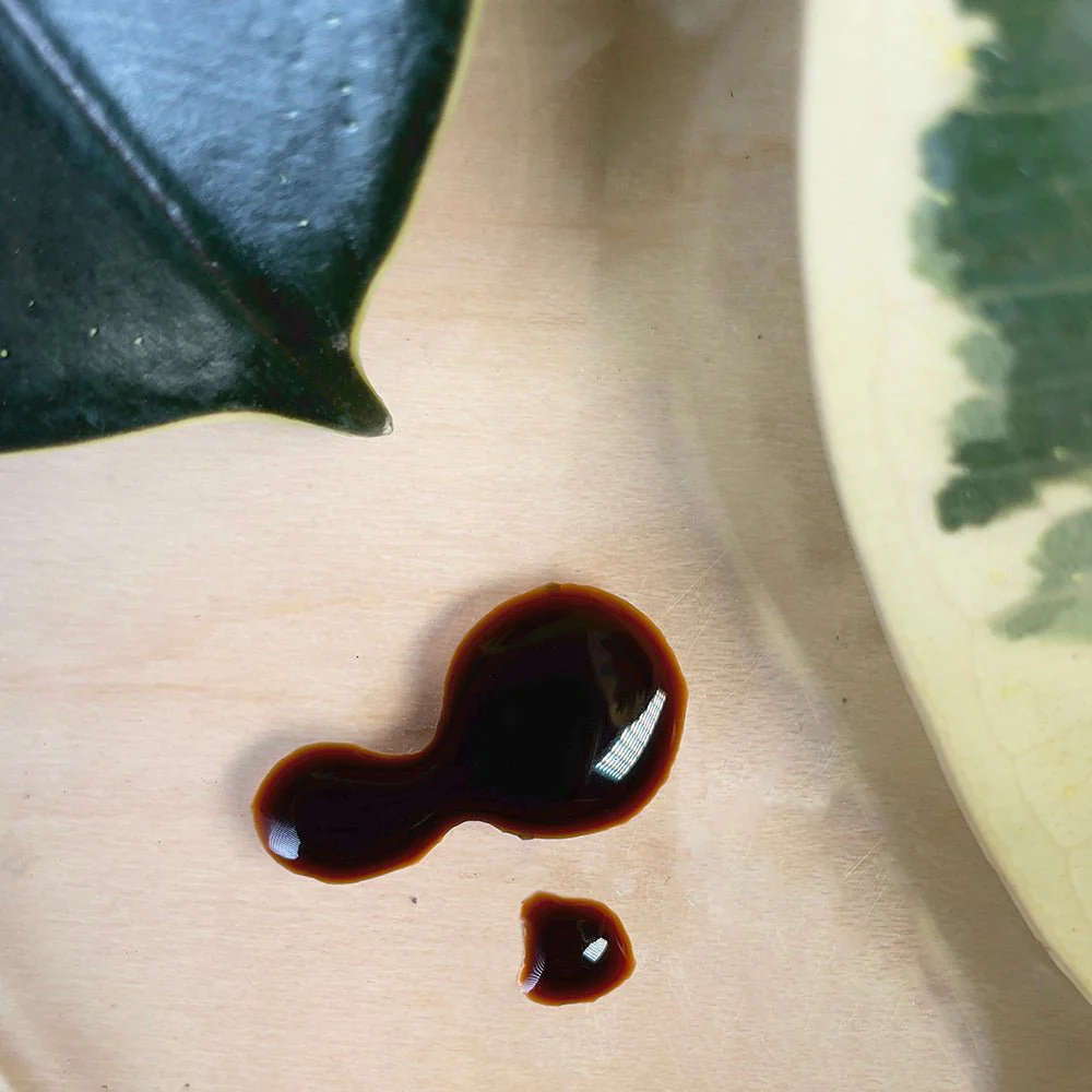 Verte Rx Organic Plant Superfood - Image 3