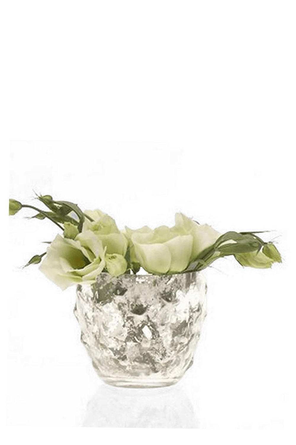 Vie Jolie Glass Vintage Flower Vases