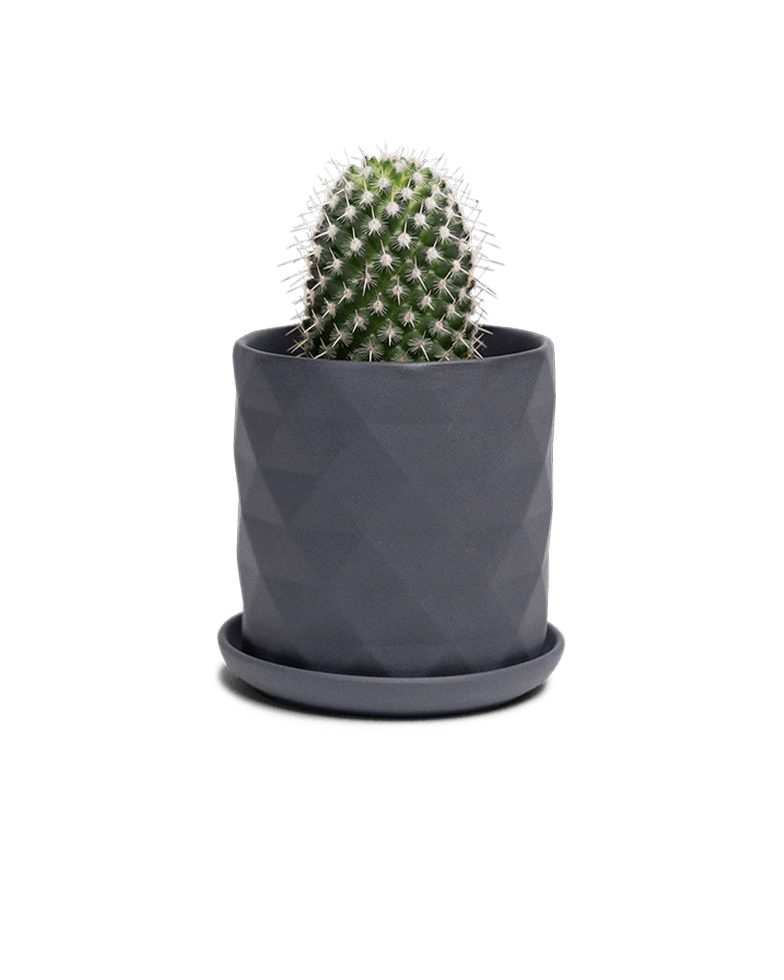 Virago Medium 5" Porcelain Plant Pot - Image 118