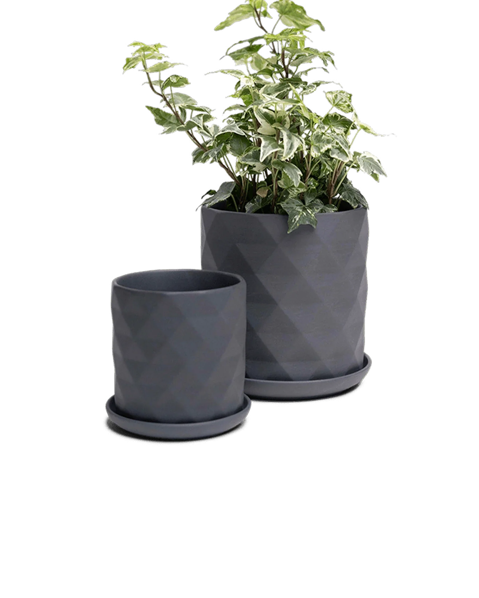 Virago Medium 5" Porcelain Plant Pot - Image 119