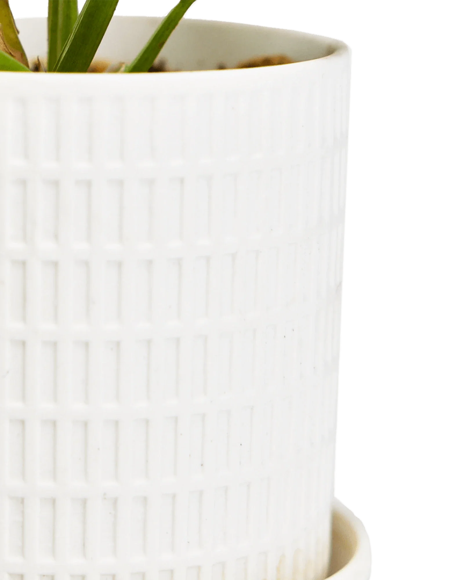 Virago Medium 5" Porcelain Plant Pot - Image 133