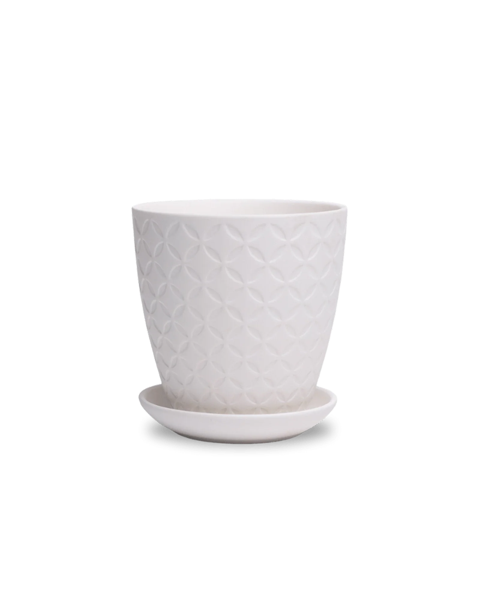 Virago Medium 5" Porcelain Plant Pot - Image 135