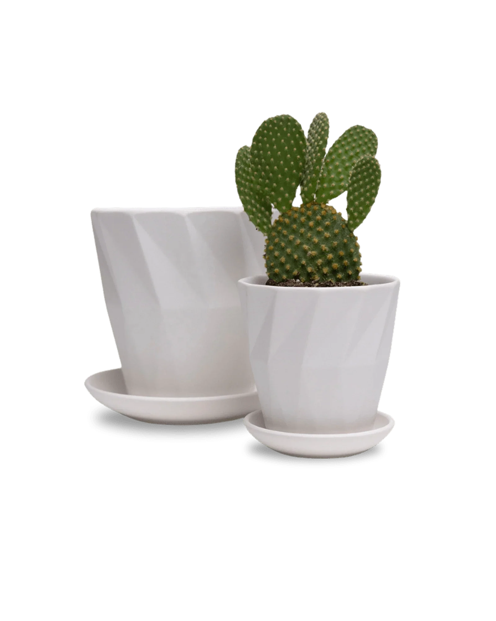 Virago Medium 5" Porcelain Plant Pot - Image 155