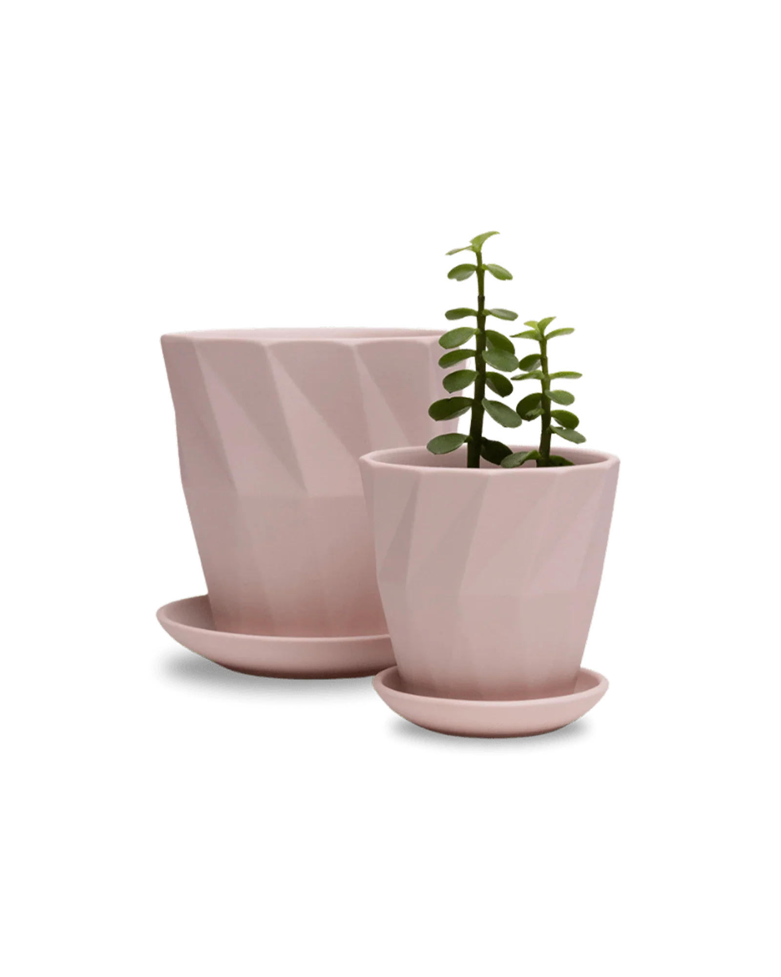 Virago Medium 5" Porcelain Plant Pot - Image 25