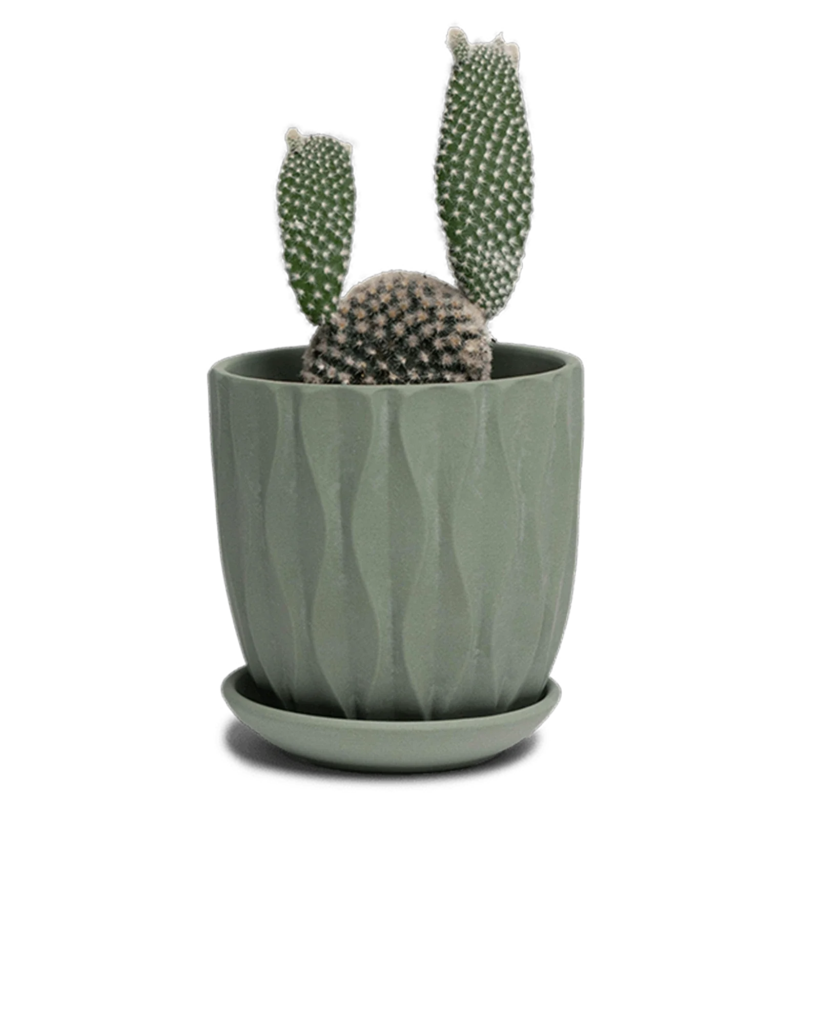 Virago Medium 5" Porcelain Plant Pot - Image 40