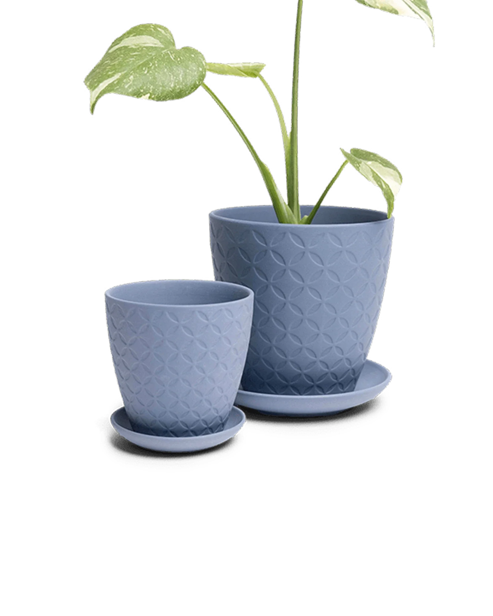 Virago Medium 5" Porcelain Plant Pot - Image 74