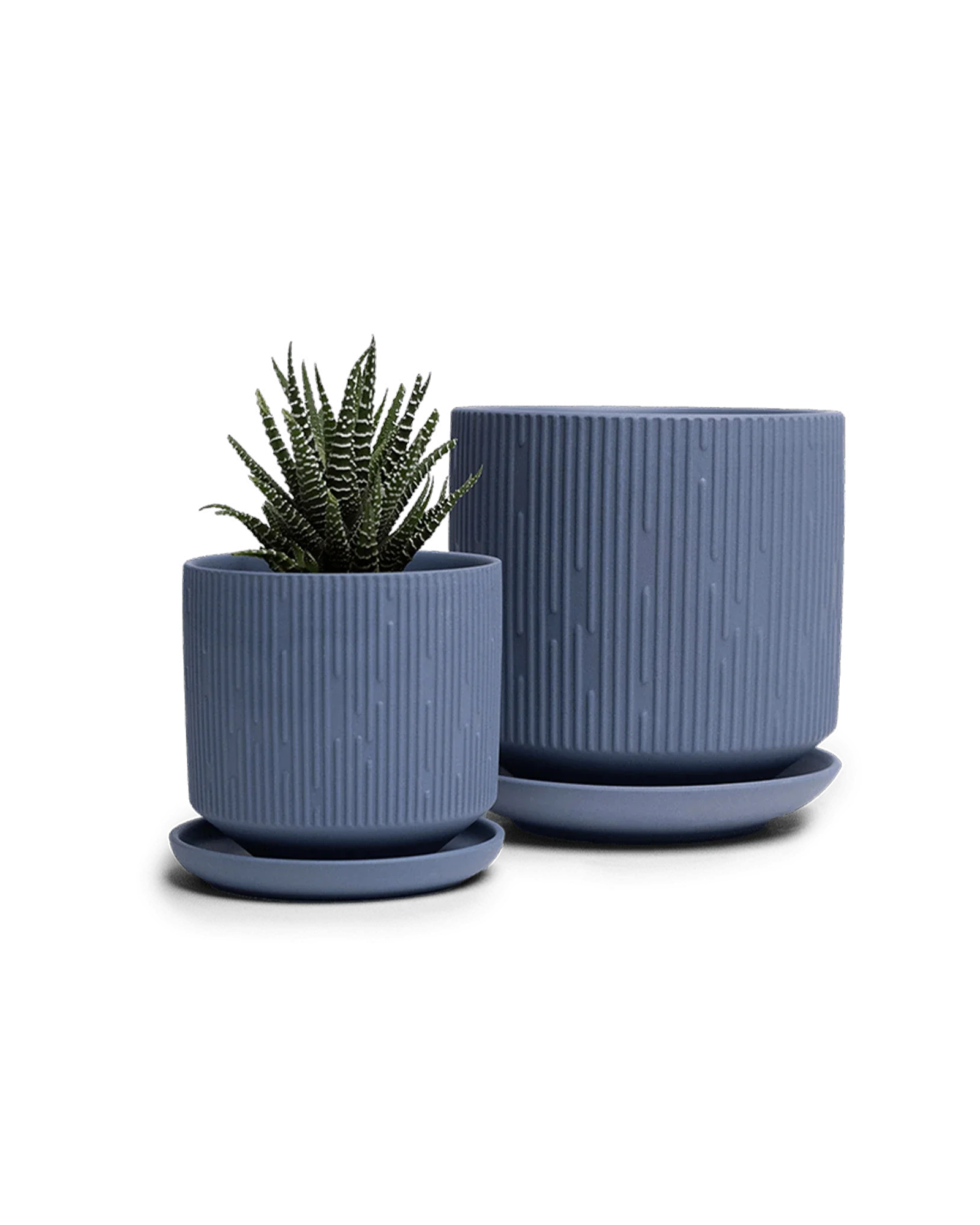 Virago Medium 5" Porcelain Plant Pot - Image 77