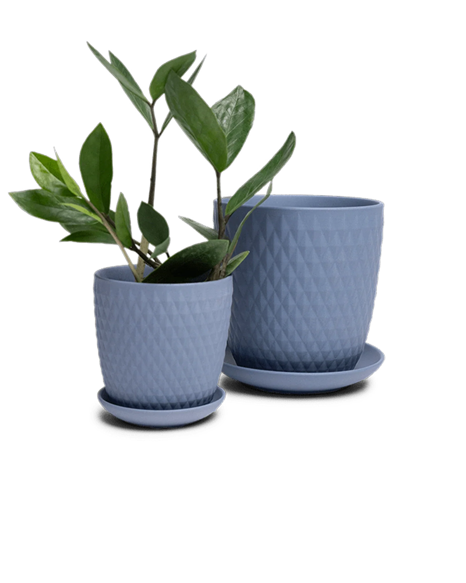 Virago Medium 5" Porcelain Plant Pot - Image 96
