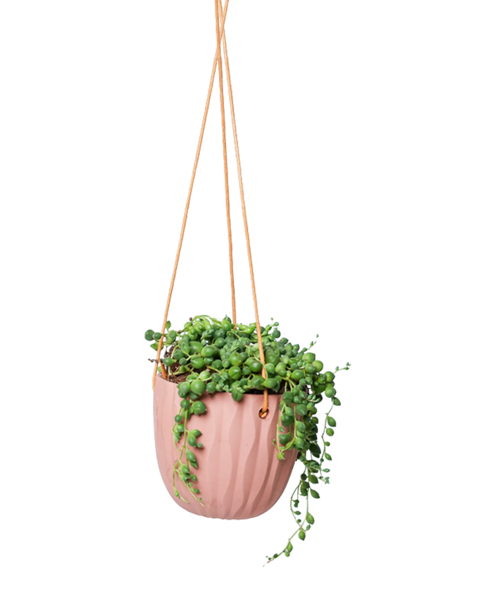 Virago Ceramic Modern Hanging Planter - Image 10