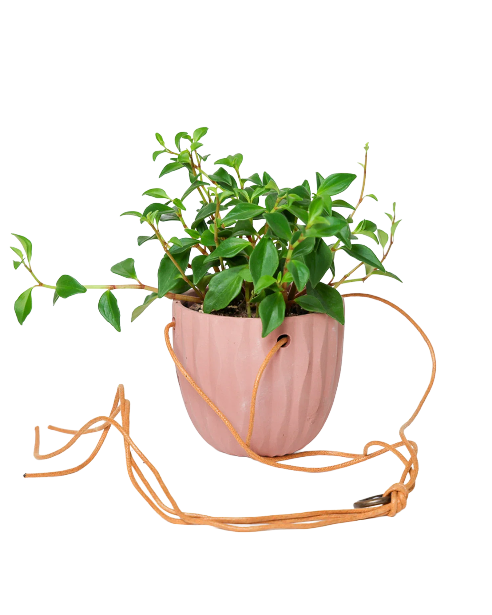 Virago Ceramic Modern Hanging Planter - Image 12