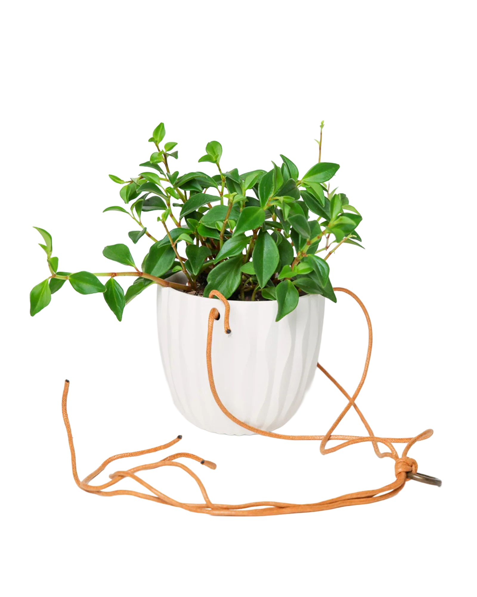 Virago Ceramic Modern Hanging Planter - Image 15