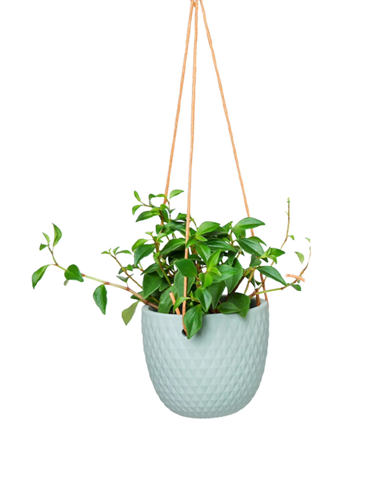 Virago Ceramic Modern Hanging Planter - Image 18
