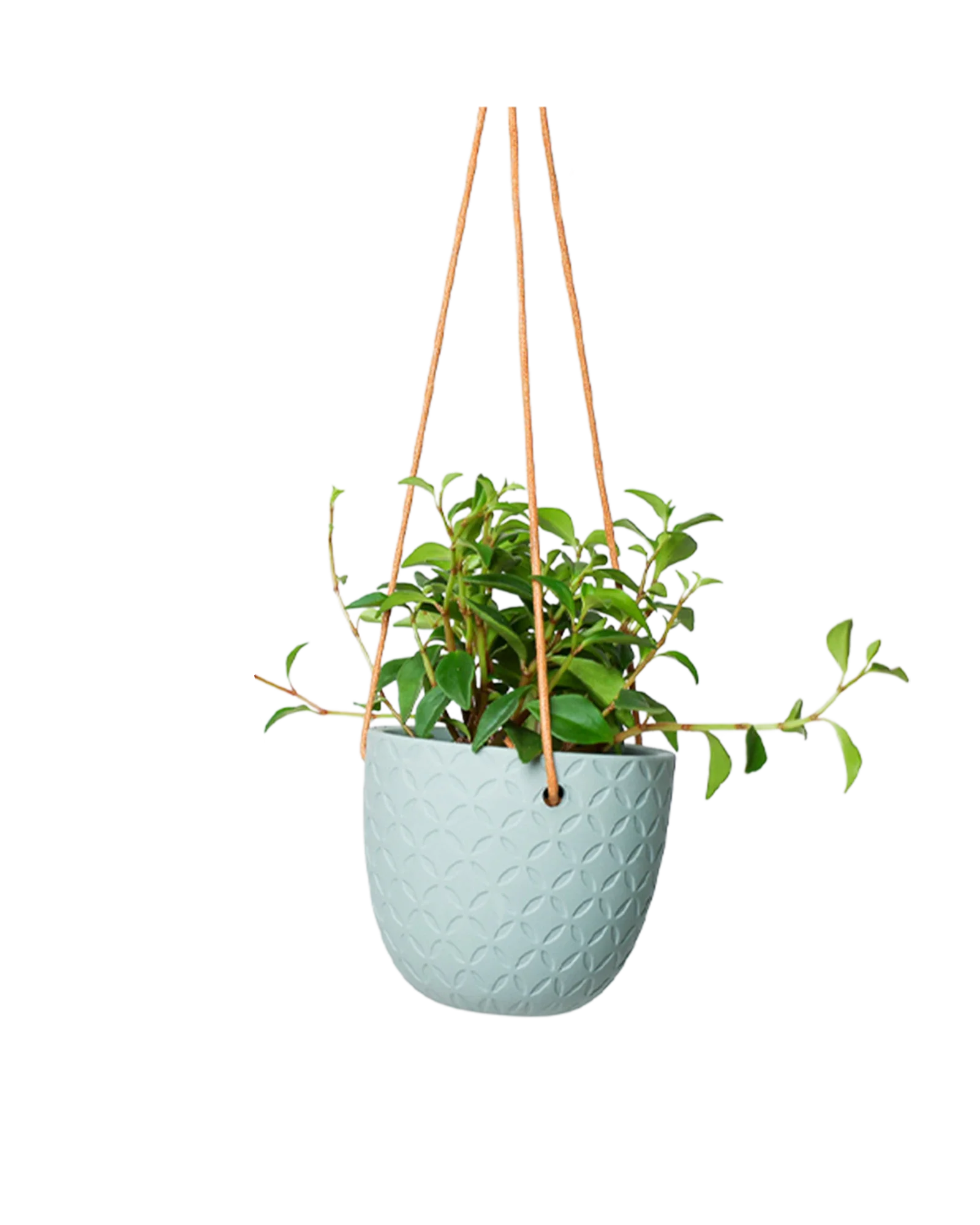 Virago Ceramic Modern Hanging Planter - Image 27