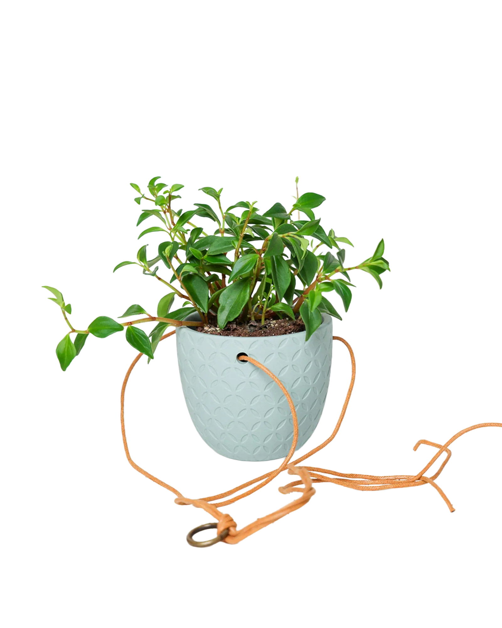 Virago Ceramic Modern Hanging Planter - Image 29